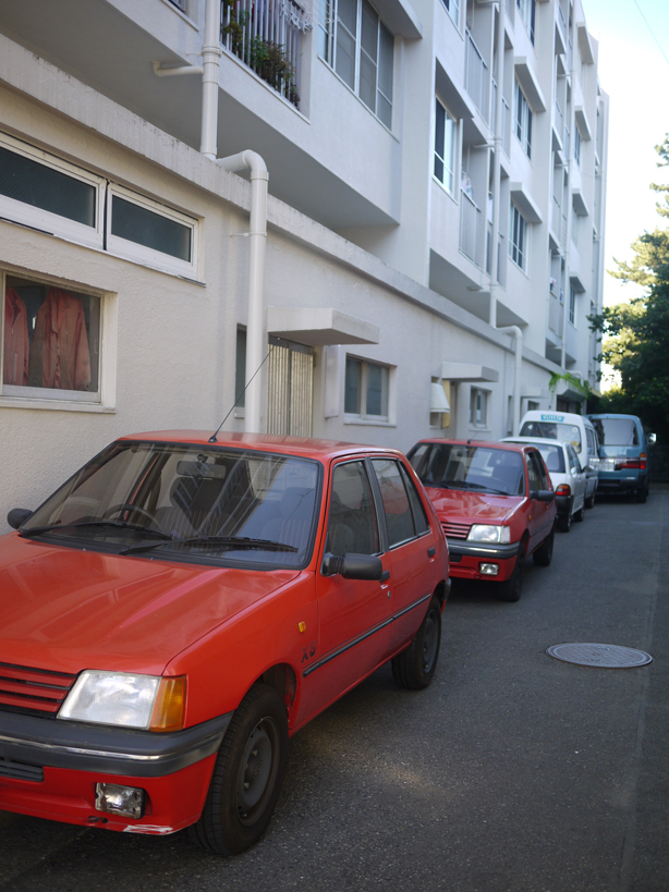 P1040580+.jpg