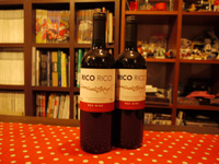 P1010305.JPG