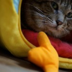 DSC00044