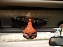 sunglass2.jpg