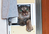 DSCF7269+1.jpg