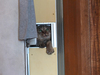 DSCF7269.JPG