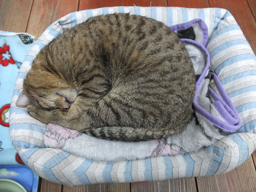 DSCF7847.JPG