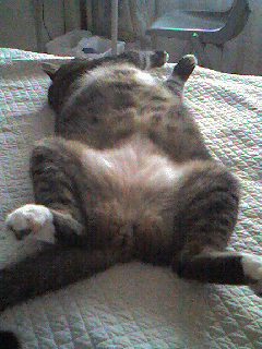 060905_1650~0001.jpg