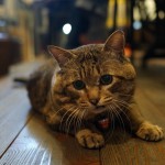 DSC00108