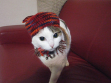 IMG_0803+1.jpg