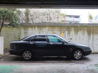 DSCF7695.JPG