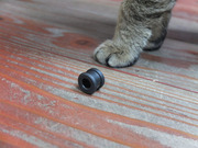 DSCF7715.JPG