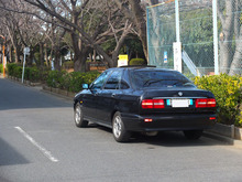 DSCF7762s.jpg