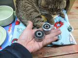 DSCF7849.JPG