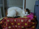 DSC00804.JPG