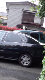 120430_072643.jpg