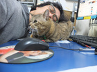DSCF8639.JPG
