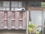 DSCF8645.JPG