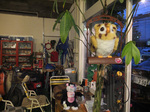 DSCF8649.JPG