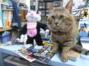 DSCF8652.JPG