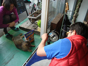DSC01864.JPG