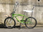 DSCF9420ねこ.jpg