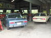 DSCF9552s.jpg