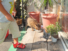 DSCF0315.JPG