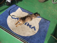 DSCF0369.JPG
