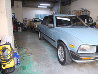 DSCF0951.JPG