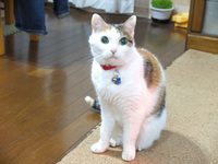 DSCF7006.JPG