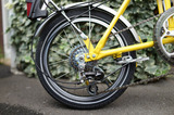 DSC00236s.jpg