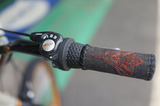 DSC00512s.jpg