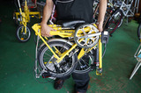 DSC00604s.jpg