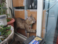 DSCF8797.JPG