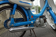 DSC01408s.jpg