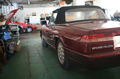 DSC06313sm.jpg