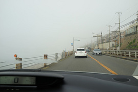 DSC01005s.jpg