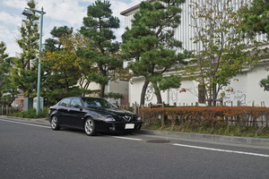 DSC08831s.jpg