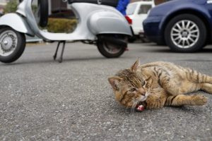 DSC00920